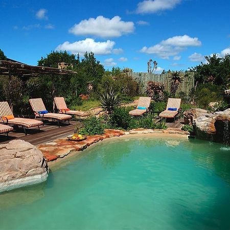 Kariega Game Reserve Bushman's River Mouth Exterior foto