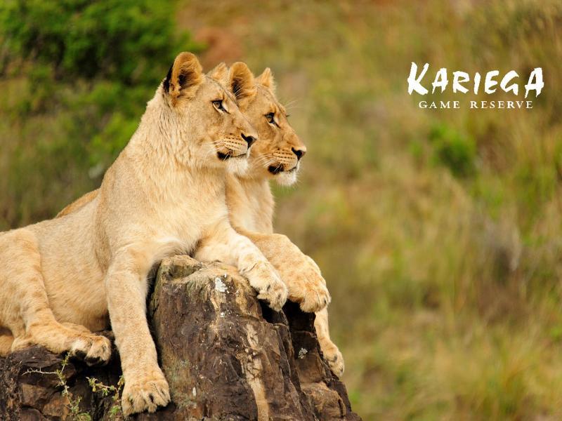 Kariega Game Reserve Bushman's River Mouth Exterior foto
